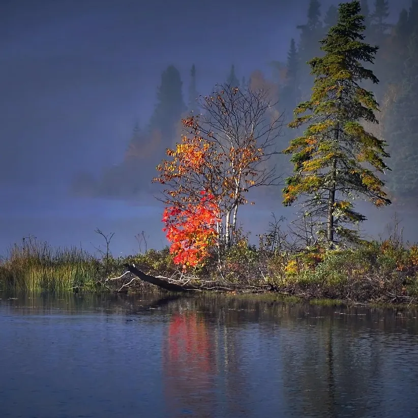 My Autumn Goals
